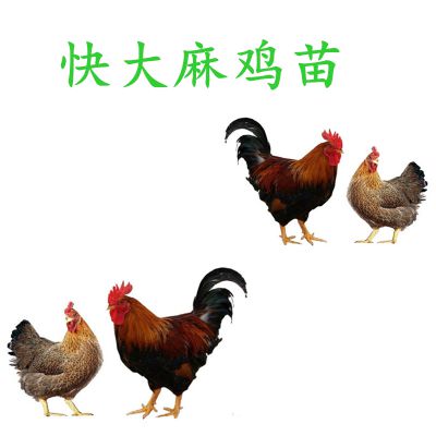 價(jià)格 廠家 中國供應(yīng)商