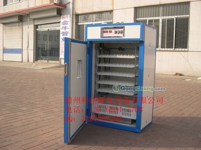 安徽華大集團家禽育種 高效專業的家禽孵化解決方案