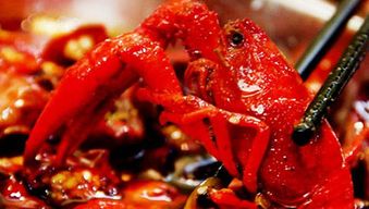 水產(chǎn)養(yǎng)殖溯源系統(tǒng) 讓消費者放心的農(nóng)產(chǎn)品保障