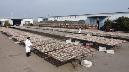 大冶 做足漁業(yè)文章，盤(pán)活水產(chǎn)經(jīng)濟(jì)，打造特色農(nóng)產(chǎn)品新名片