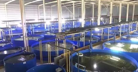 德清漁業(yè)養(yǎng)殖尾水治理成果顯著，再獲國(guó)家級(jí)專(zhuān)家關(guān)注